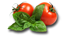 tomatoes-top-img